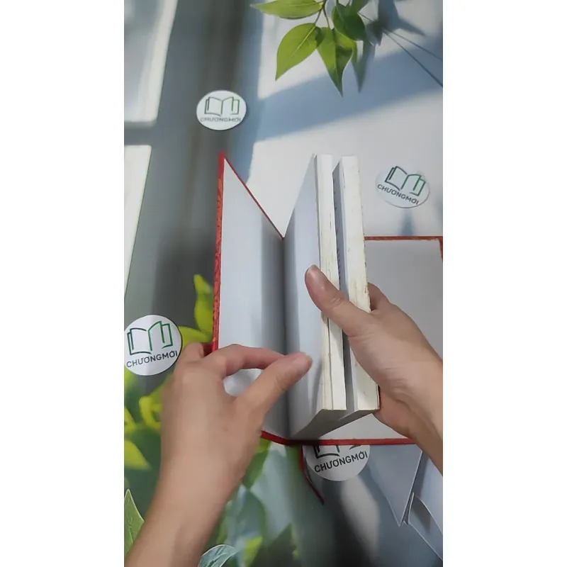 Chuyện Tình Vua Chúa Hoàng Tộc Việt Nam - Đinh Công Vĩ 990453