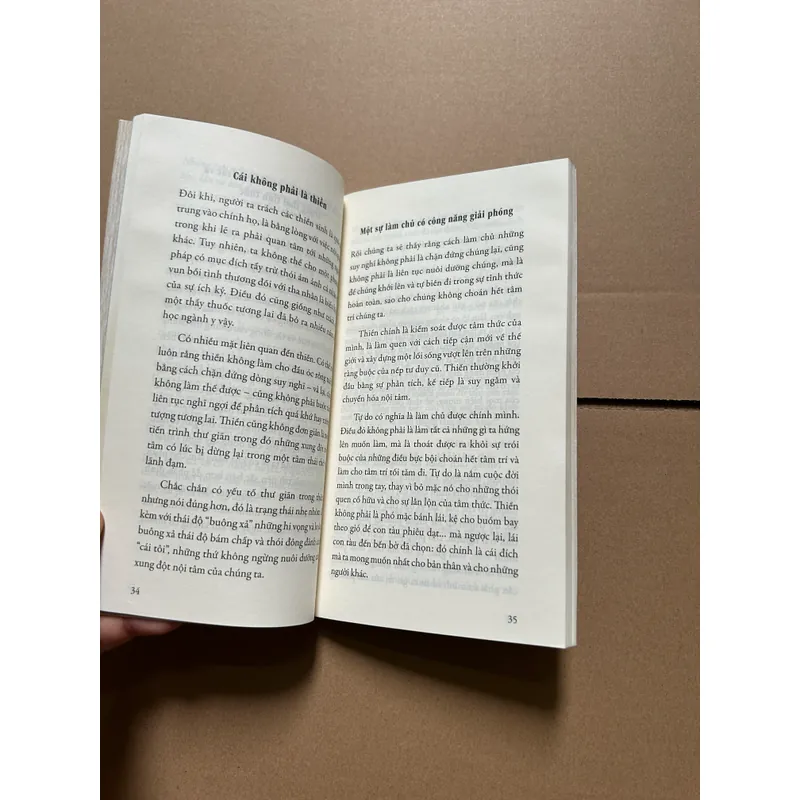 Thực hành thiền định - Matthieu Ricard 717437