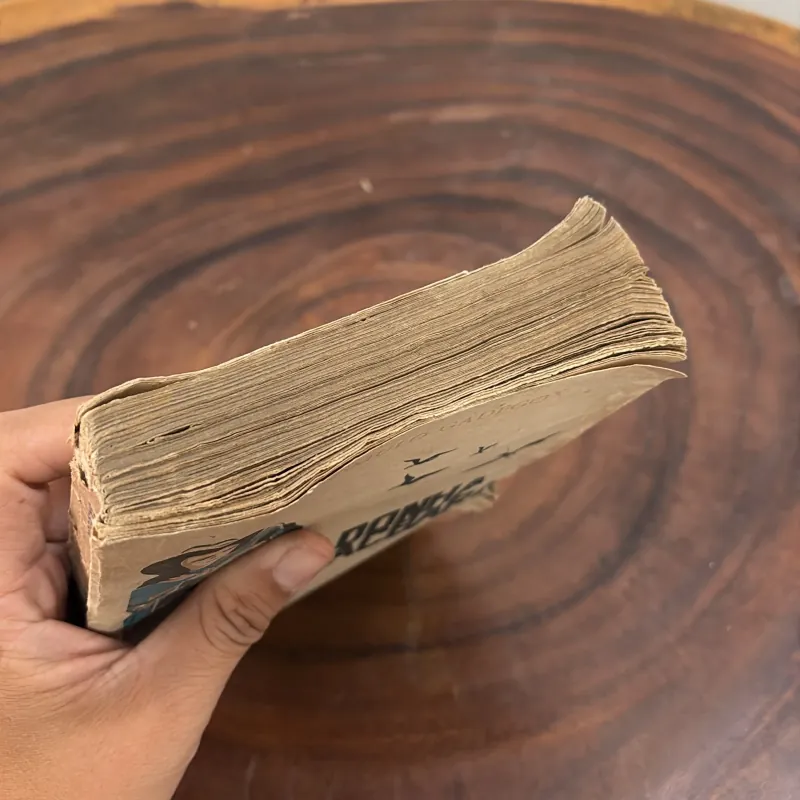 II Văn Học Hiện Đại Nước Ngoài: ĐÔNHA BACBARA - RÔMULÔ GAĐÊGÔX - 1986 1008659