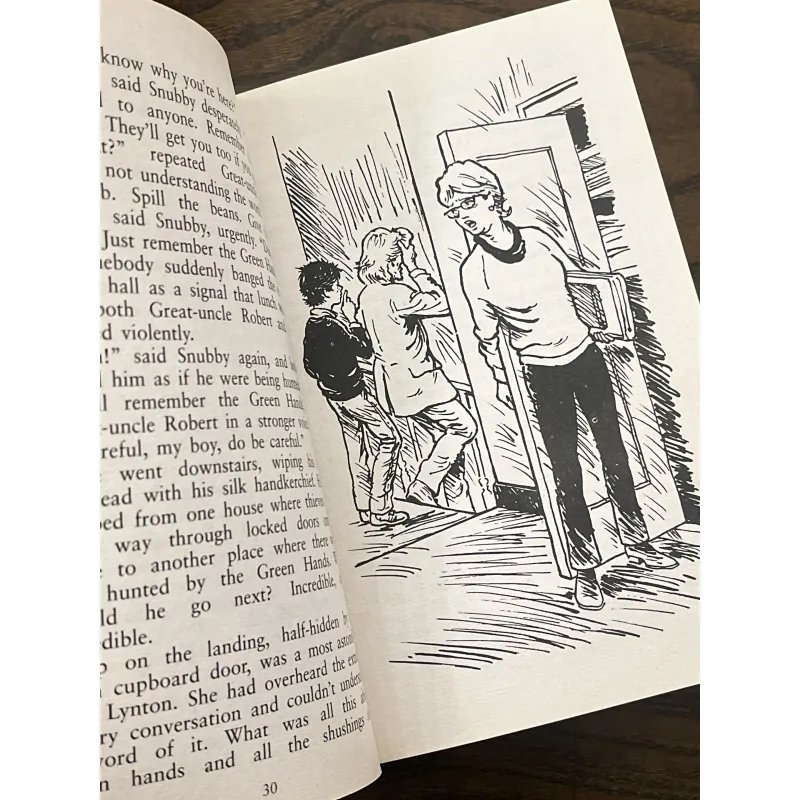 The Rilloby Fair Mystery 972085