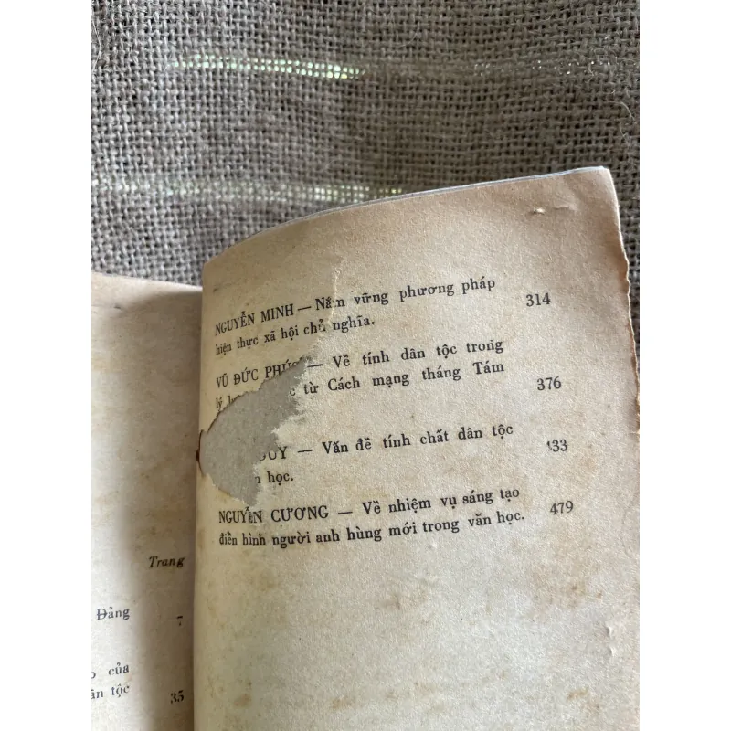 Mấy vấn đề lý luận văn học- hơn 500 trang  933631