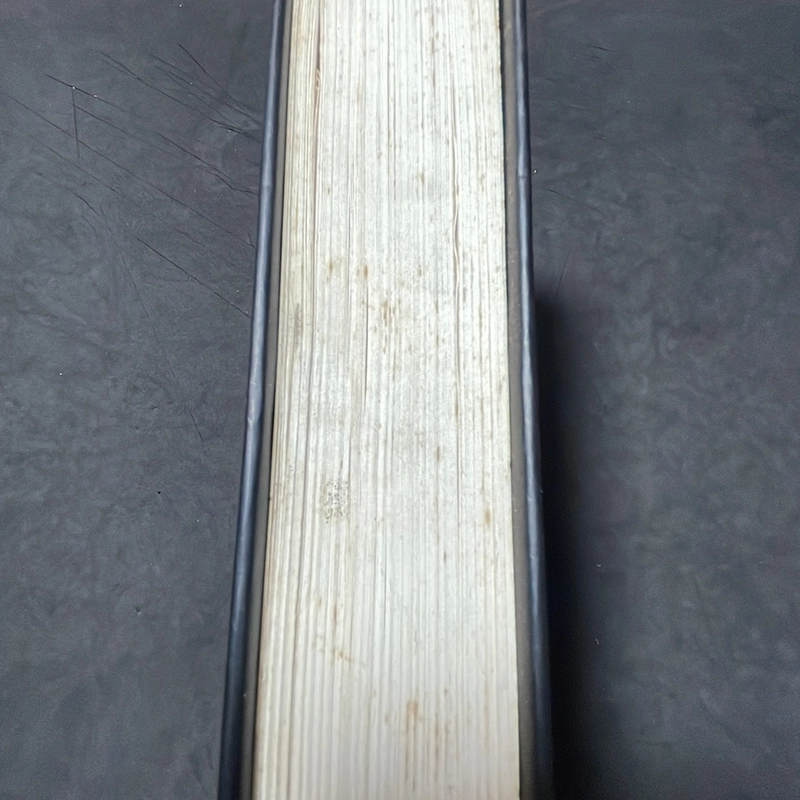 Đời tỷ phú Piere Rey 333484