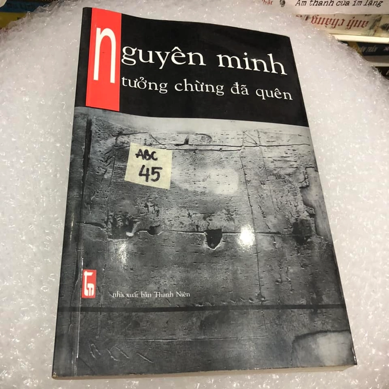 Tưởng chừng đã quên - Nguyên Minh 307791