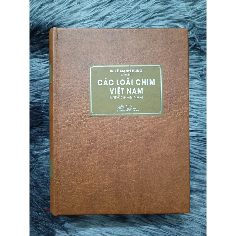Các loài chim Việt Nam (Lê Mạnh Hùng) 736184