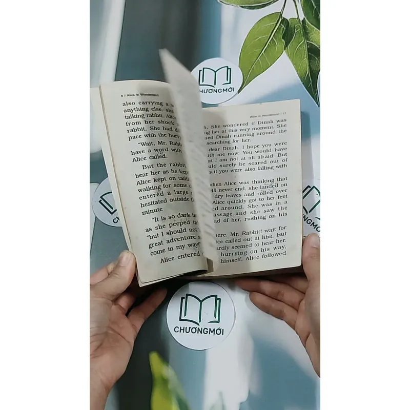 Alice in Wonderland - Lewis Carroll 634480