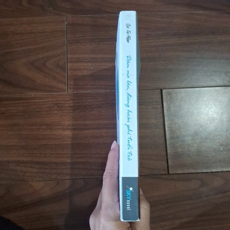 Dám mơ lớn, đừng phí hoài tuổi trẻ 530244