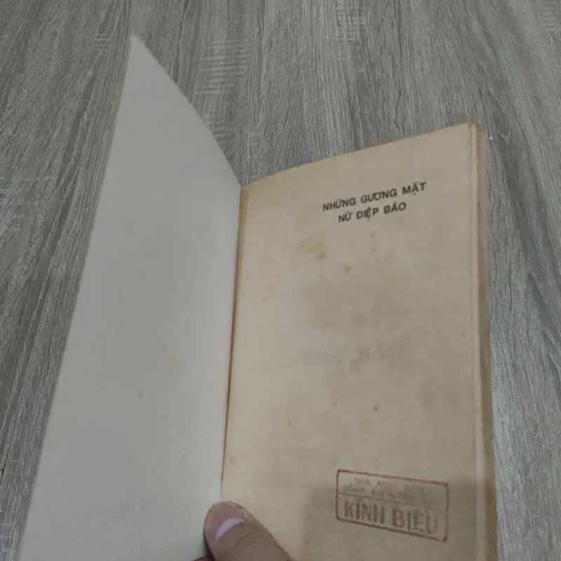 Những Gương Mặt Nữ Điệp Báo 733930