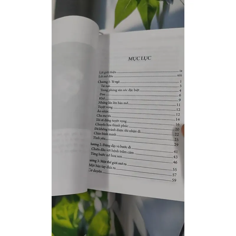 Đứng Dậy Và Bước Đi - Nguyễn Hướng Dương 798435