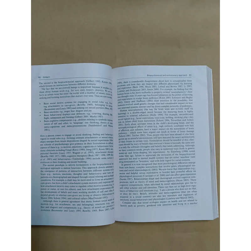 Case Formulation in Cognitive Behaviour Therapy 973820