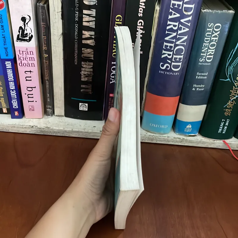 II Sách Kỹ Năng: Vươn Lên Để Thành Công - Jack Canfield, Mark Victor Hansen - 2002 558525
