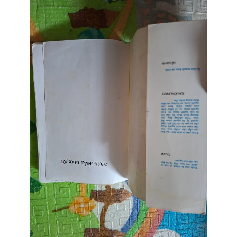 Danh Ngôn Tình Yêu 1002201