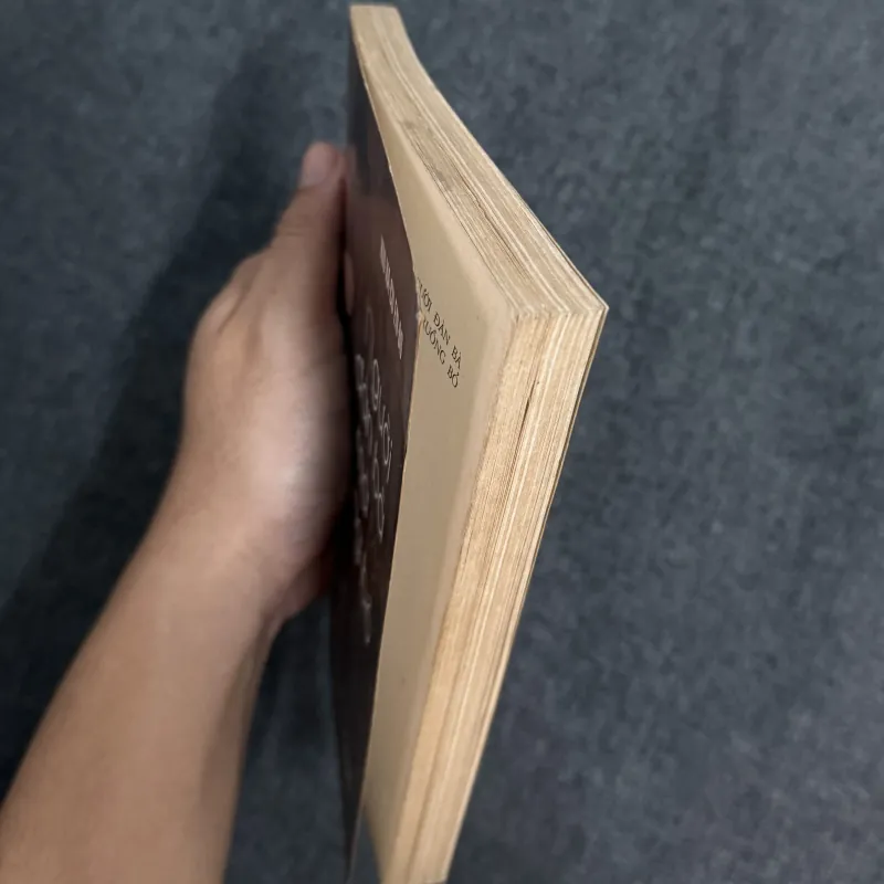 Người đà bà mà tôi ruồng bỏ - Endo Shusaku 790366