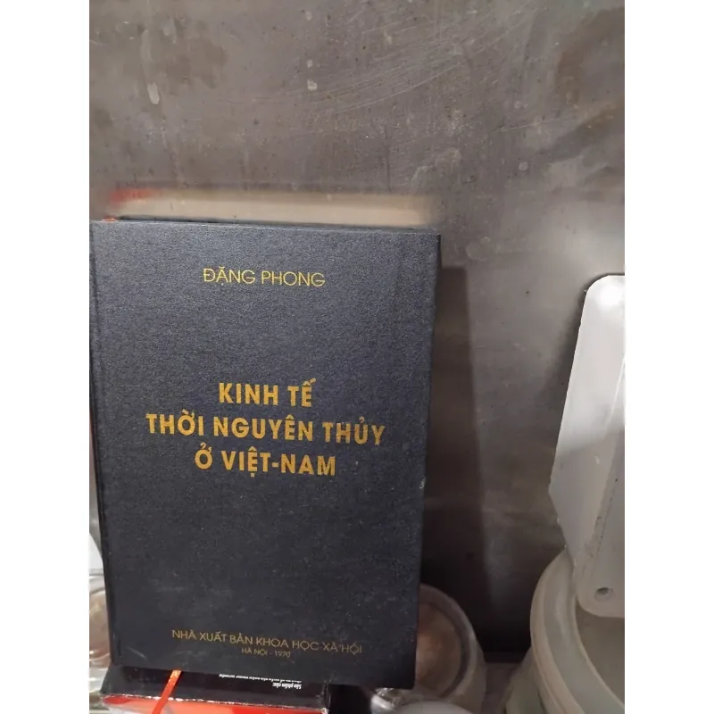 Kinh tế thời nguyên thủy ở Việt Nam của GS Đặng Phong  933742