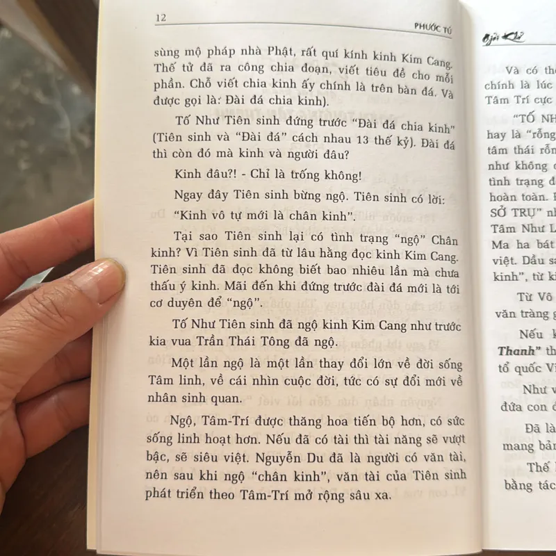 Giải Khổ qua tác phẩm Đoạn Trường Tâm Thanh - Phước Tú 723104