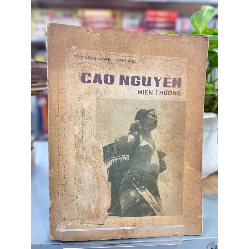 Cao nguyên miền thượng 327923