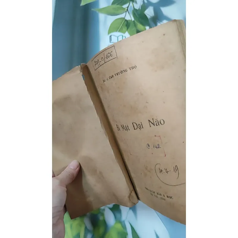 [XƯA] Bí Mật Đại Não (1982) - BS. Cao Trường Thọ 775987