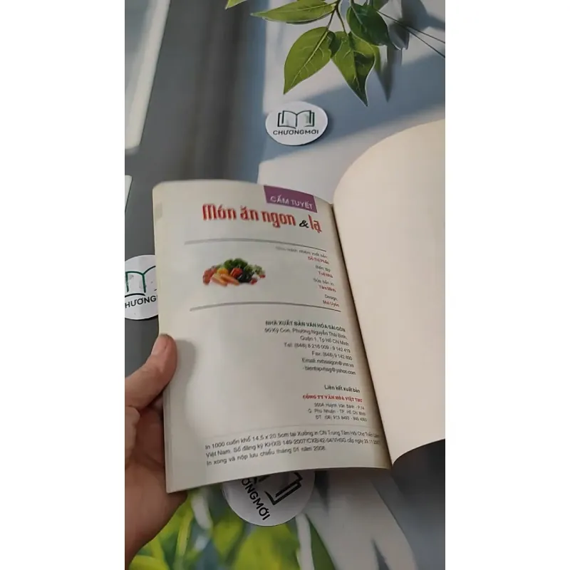 Combo Ẩm Thực: Các Món Ăn Nhẹ, Món Ăn Ngon & Lạ, Dinh Dưỡng Sức Khoẻ Mùa Thi, Các Món Giả 727285
