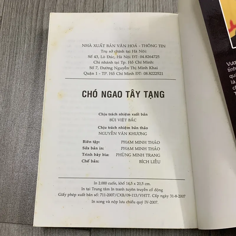 Chó ngao tây tạng - vương chí quân. 2a2 733377