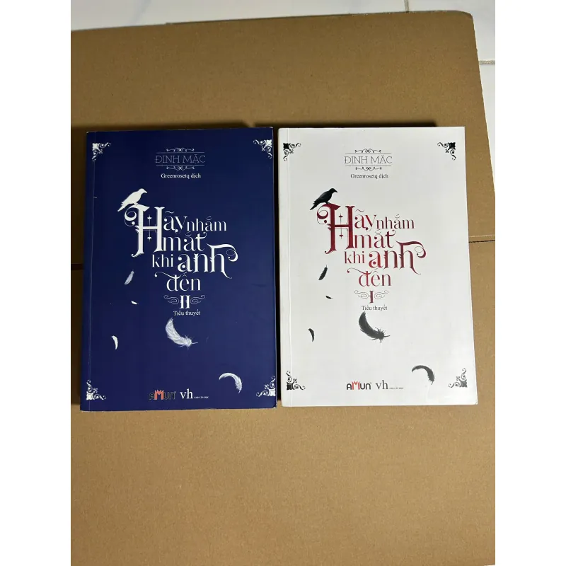 Combo 2 Tập: Hãy Nhắm Mắt Khi Anh Đến (Đinh Mặc) 130k 735362