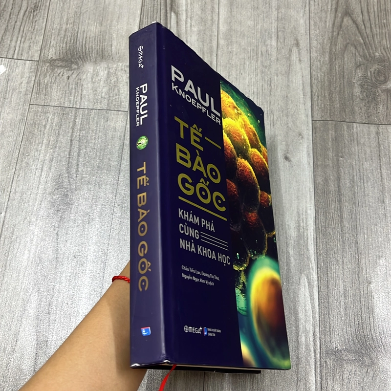 Tế bào gốc. 2b5 539037