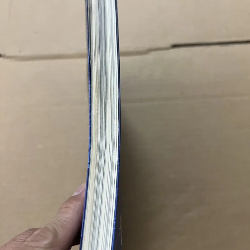 Đám Trẻ Ở Đại Dương Đen 789555