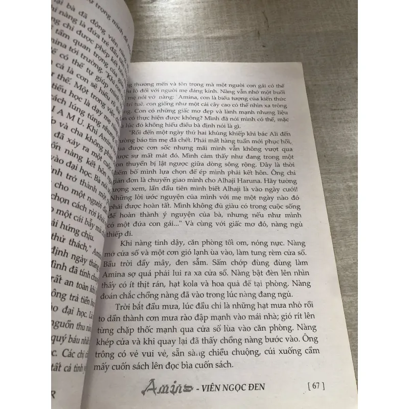 Amina - viên ngọc đen 784366