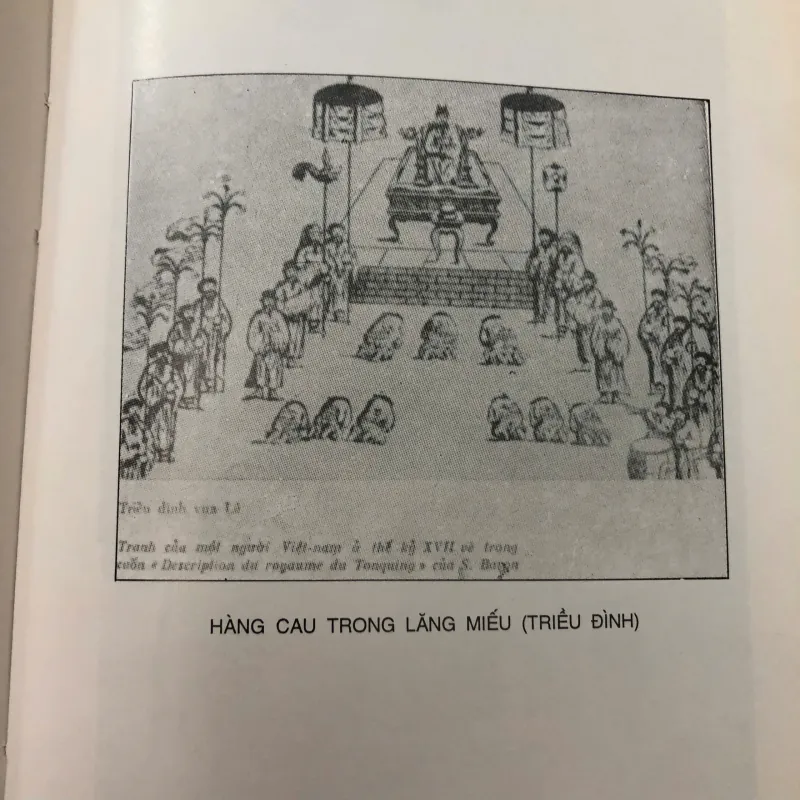 Trầu Cau Việt Điện Thư - Nguyễn Ngọc Chương - Nghiên cứu Văn hóa 706070