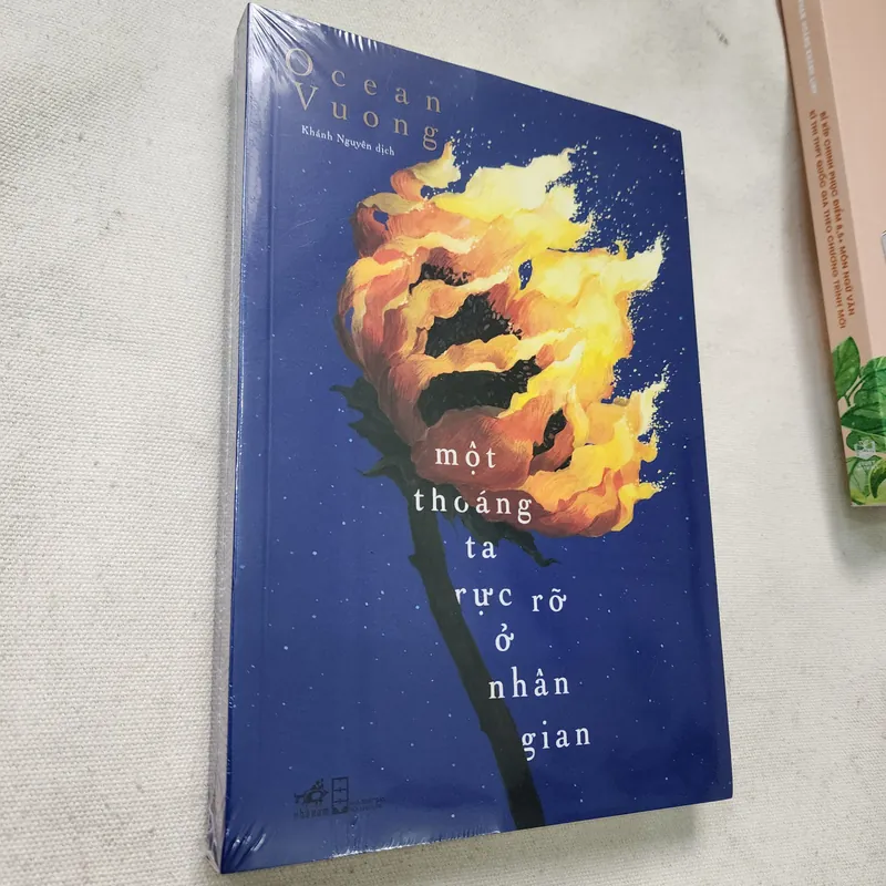 Một thoáng ta rực rỡ ở nhân gian | Ocean Vuong 696272