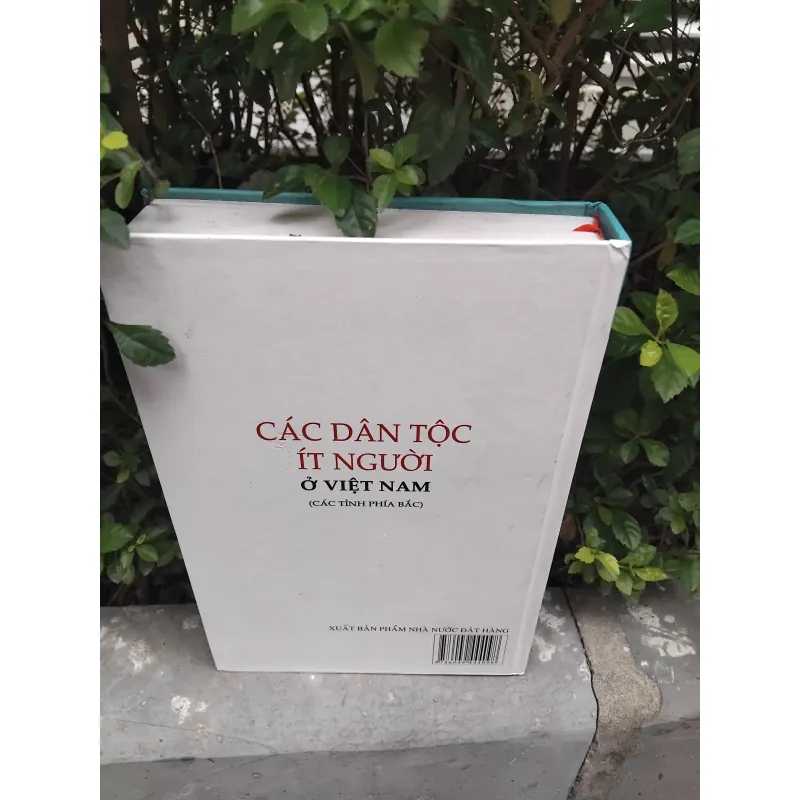 Các dân tộc ít người ở Việt Nam ( các tỉnh phía Bắc )  1001894