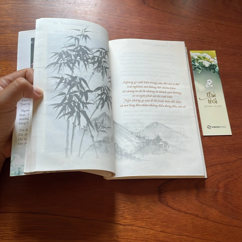 II Sách Kỹ Năng: Thả Trôi Phiền Muộn - Suối Thông - 2018 499667