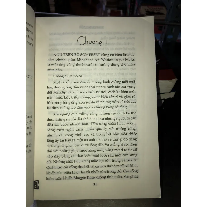 Vòng hoa cúc - Sharon Bolton  1001943