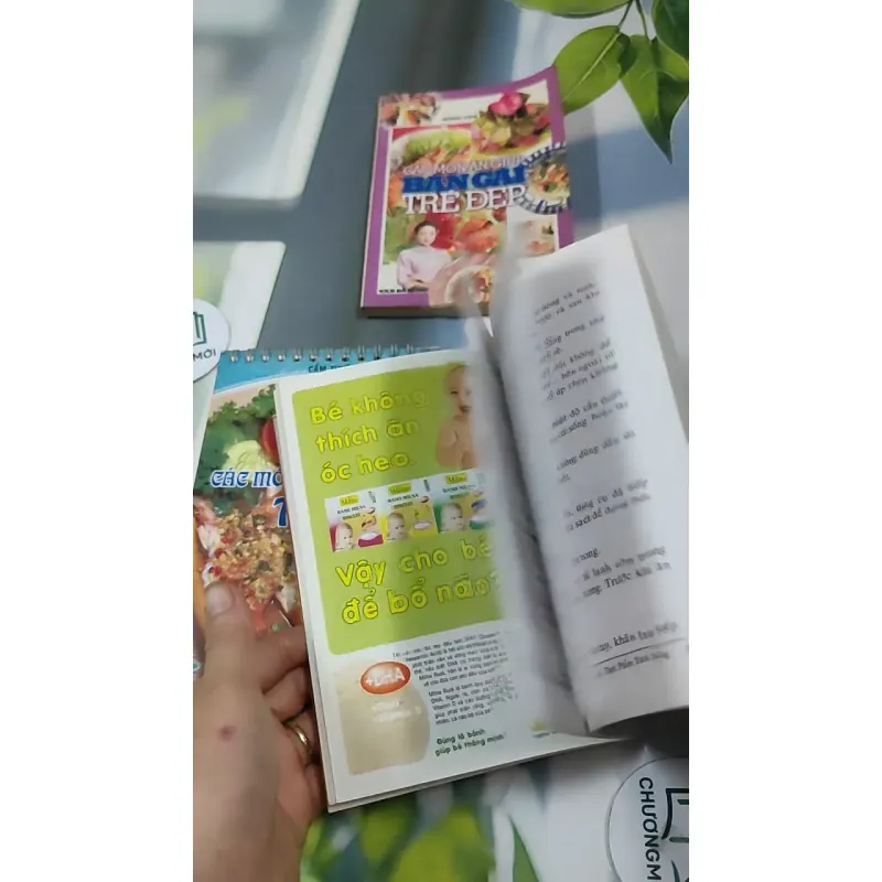 Combo Ẩm Thực: Các Món Hải Sản Kiểu Thái, Các Món Ăn Giúp Bạn Gái Trẻ Đẹp, Lựa Chọn Thực  727325