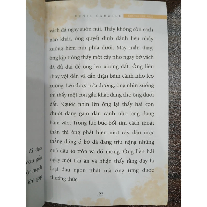 Không gục ngã 549588