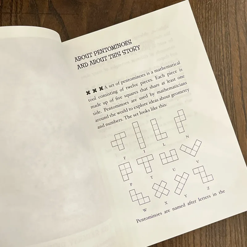 ✨𝑪𝒉𝒂𝒔𝒊𝒏𝒈 𝑽𝒆𝒓𝒎𝒆𝒆𝒓✨(A New York Times Bestseller) 713551