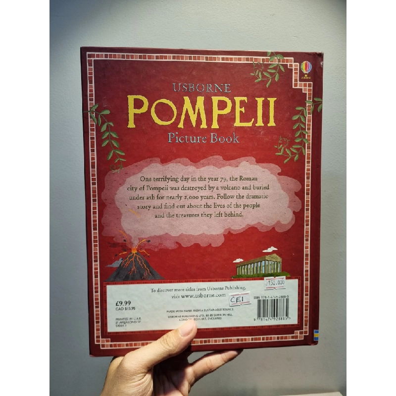 POMPEII : Picture Book (Usborne) 222627