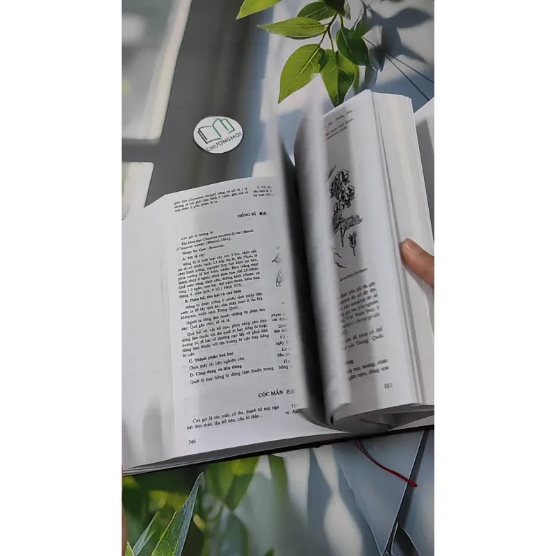 [MIỄN PHÍ BỌC SÁCH] Những Cây Thuốc Và Vị Thuốc Việt Nam - GS. TS Đỗ Tất Lợi 990368