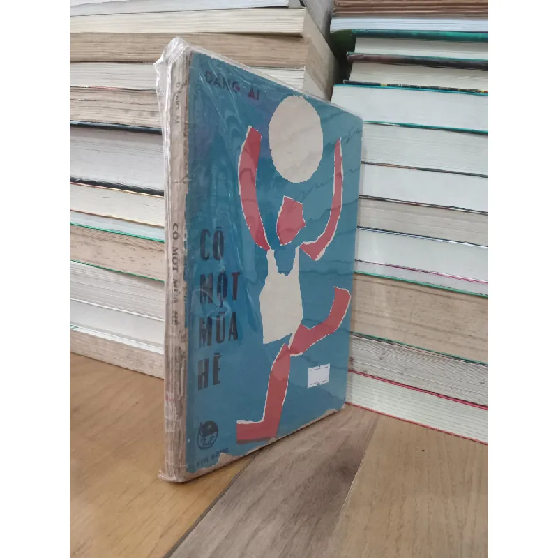 Có một mùa hè - Đặng Ái 717417