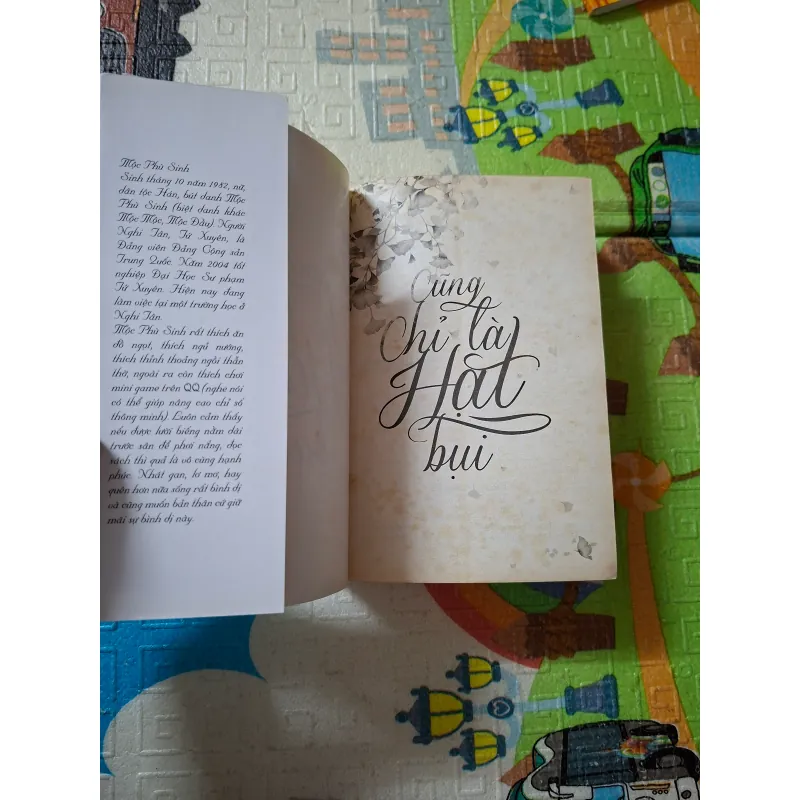 Cũng Chỉ Là Hạt Bụi 788259