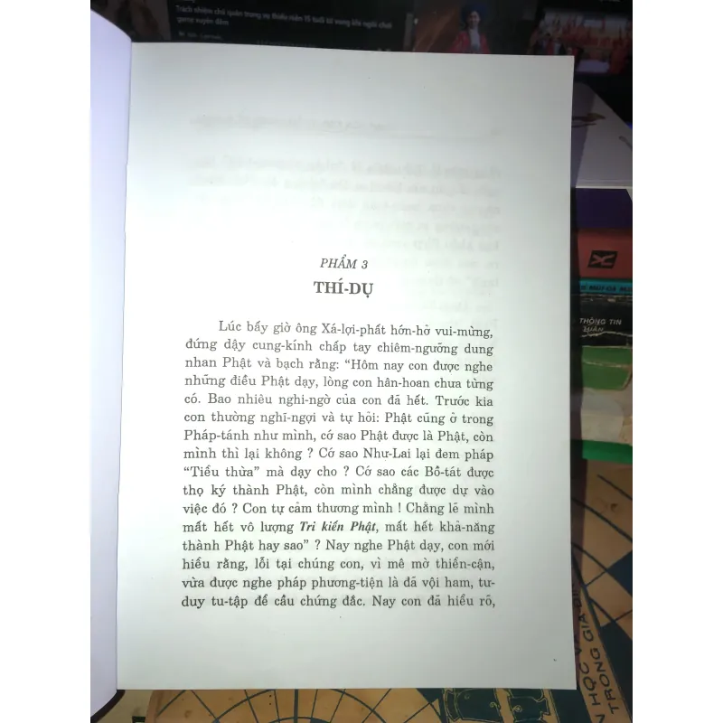 Pháp hoa kinh thâm nghĩa đề cương - Pháp sư Thích Từ Thông 1024529