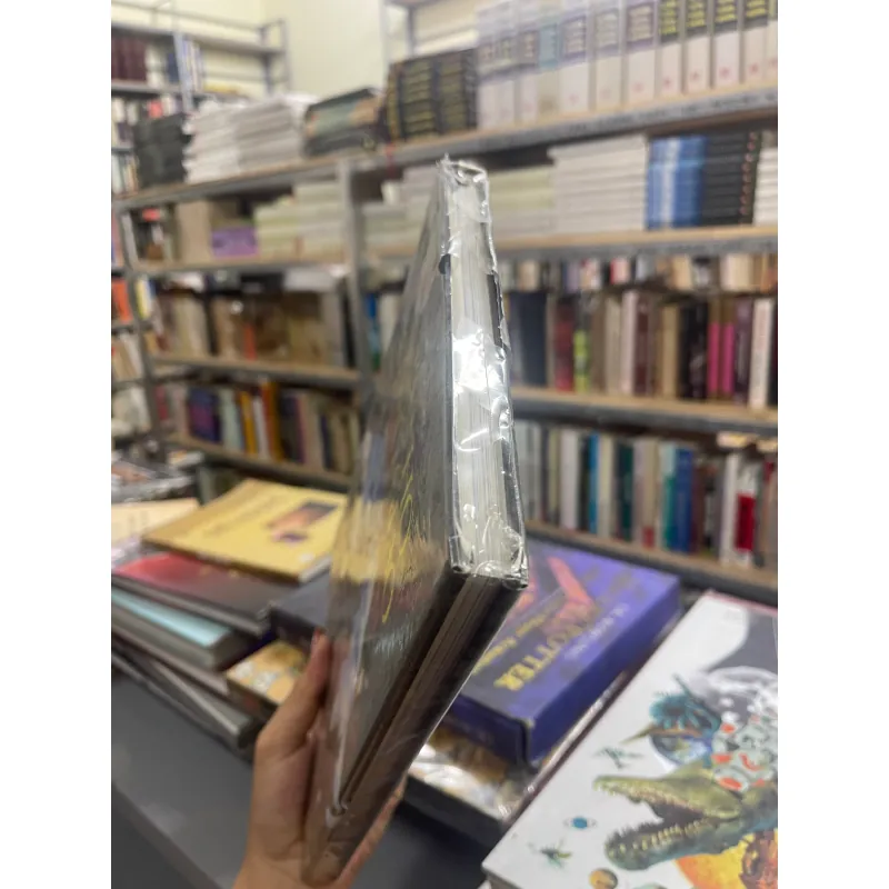 NHÀ THỜ CÔNG GIÁO VIỆT NAM - NGUYỄN HỒNG DƯƠNG  1032054