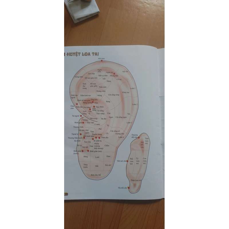 KINH LẠC HUYỆT VỊ  502885