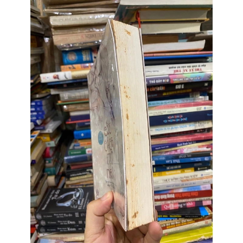 Cốt Cách Mỹ Nhân - Mặc Bảo, Phi Bảo 121076