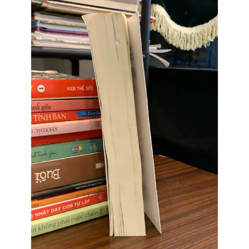 Ngủ cùng sói – Diệp Lạc Vô Tâm 571382