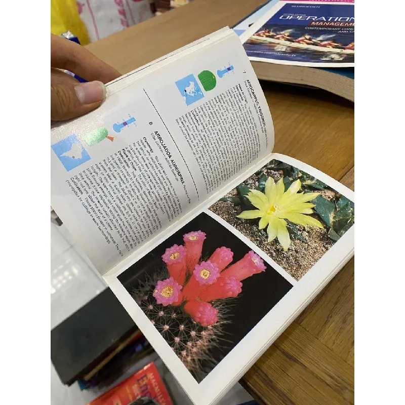 Simon & Schuster’s Guide to Cacti and Succulents 563535