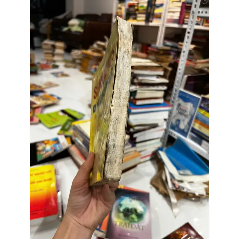 Giáo trình Ngữ Nghĩa Học 706476