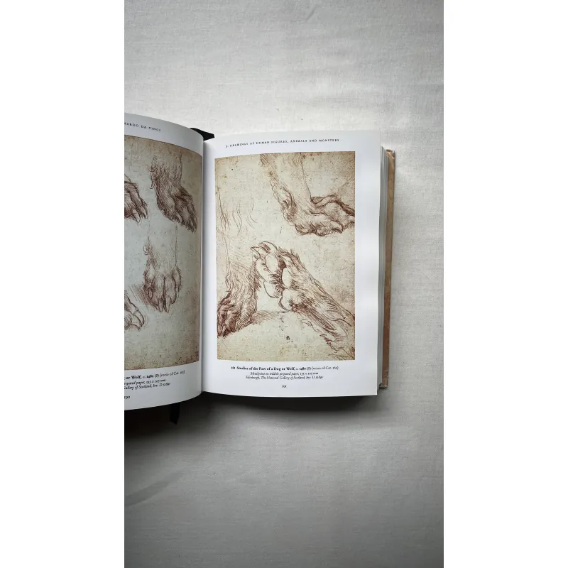 Leonardo Da Vinci 1028940