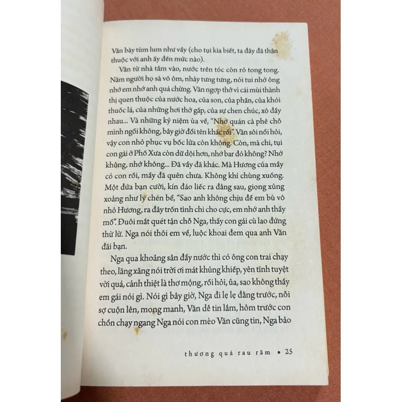 Cánh đồng bất tận 🌊 594970