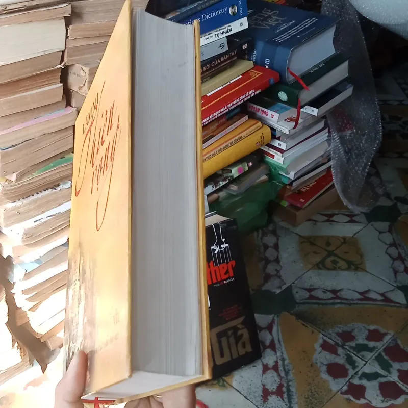 Thiên Vọng - Lâm Mi 780746