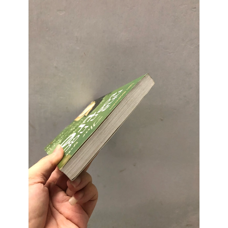 Thư gửi nhà toán học trẻ tuổi (mới) - Ian Stewart 359598