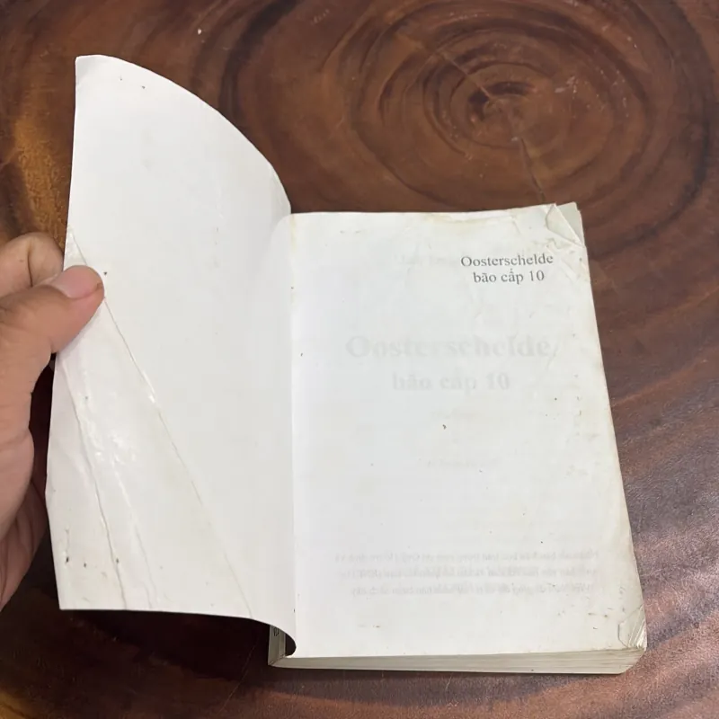 II Văn Học: Oosterschelde, Bão Cấp 10 - JAN TERLOUW - 2003 976260